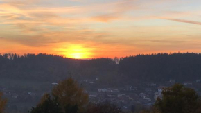 FERIENWOHNUNG FORSTPANORAMA